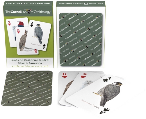 Playing Cards - Birds of Eastern/Central North America