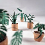 Paper Plants | DIY Origami Craft Kit for Plant Lovers