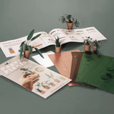 Paper Plants | DIY Origami Craft Kit for Plant Lovers