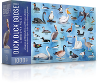 Wingspan - Duck Duck Goose Puzzle (1000 pcs)