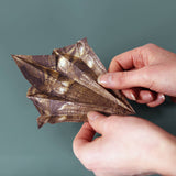 Paper Dinos | Perfect For Dino Enthusiasts | Cute DIY Kit