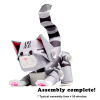 PIPEROID animals Silver Tabby - paper craft kit from Japan