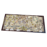 Darwin's Journey - Fireland Expansion