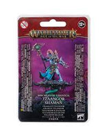 Warhammer Age of Sigmar: Disciples of Tzeentch Tzaangor Shaman