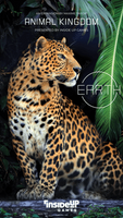 Earth: Animal Kingdom (Deposit) (Crowdfunded)