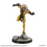 Marvel Crisis Protocol - Wolverine and Sabretooth Character Pack